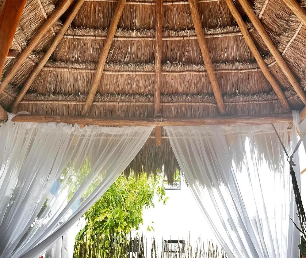 شقة Wholeness Earthing Clubhouse بلايا ديل كارمن