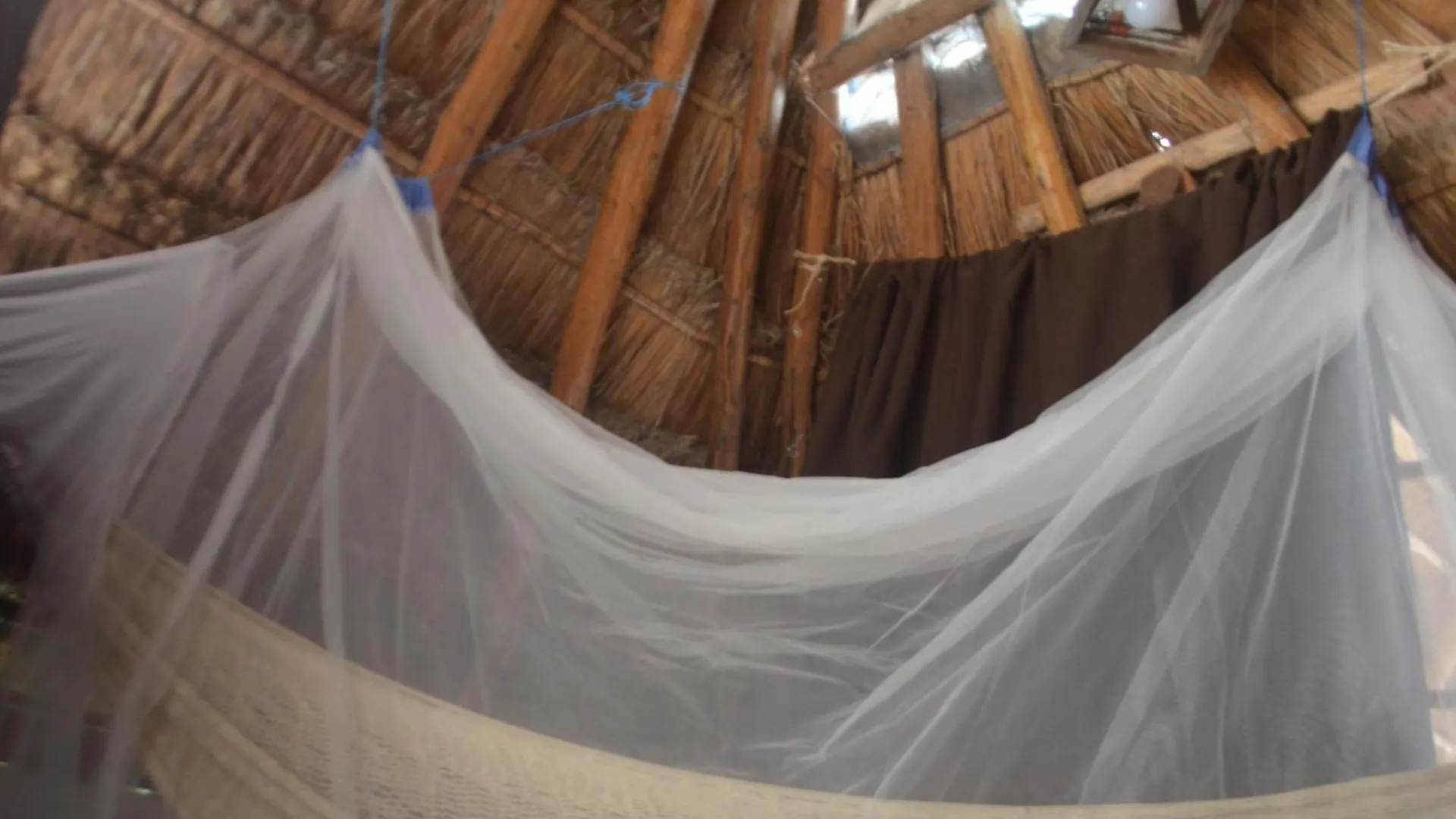 شقة Wholeness Earthing Clubhouse بلايا ديل كارمن منزل للإقامة