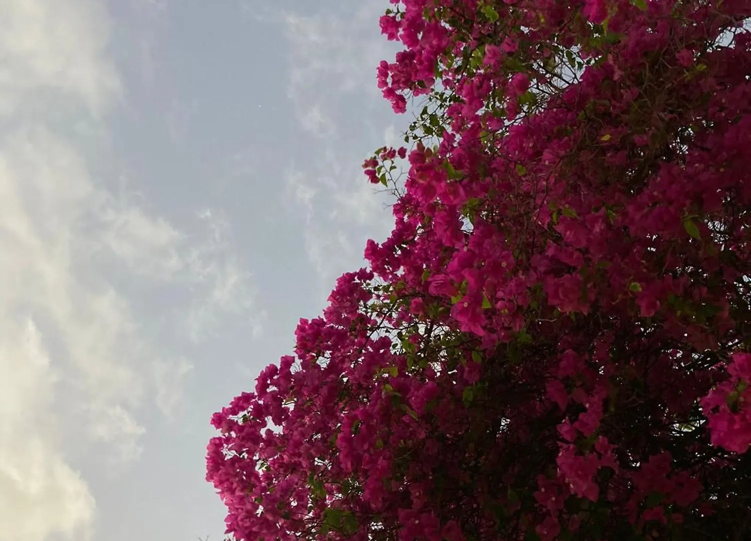 شقة Wholeness Earthing Clubhouse بلايا ديل كارمن منزل للإقامة